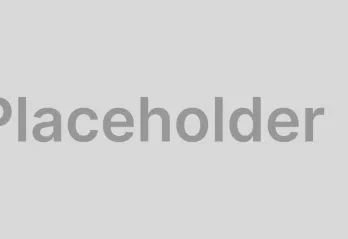 placeholder-img